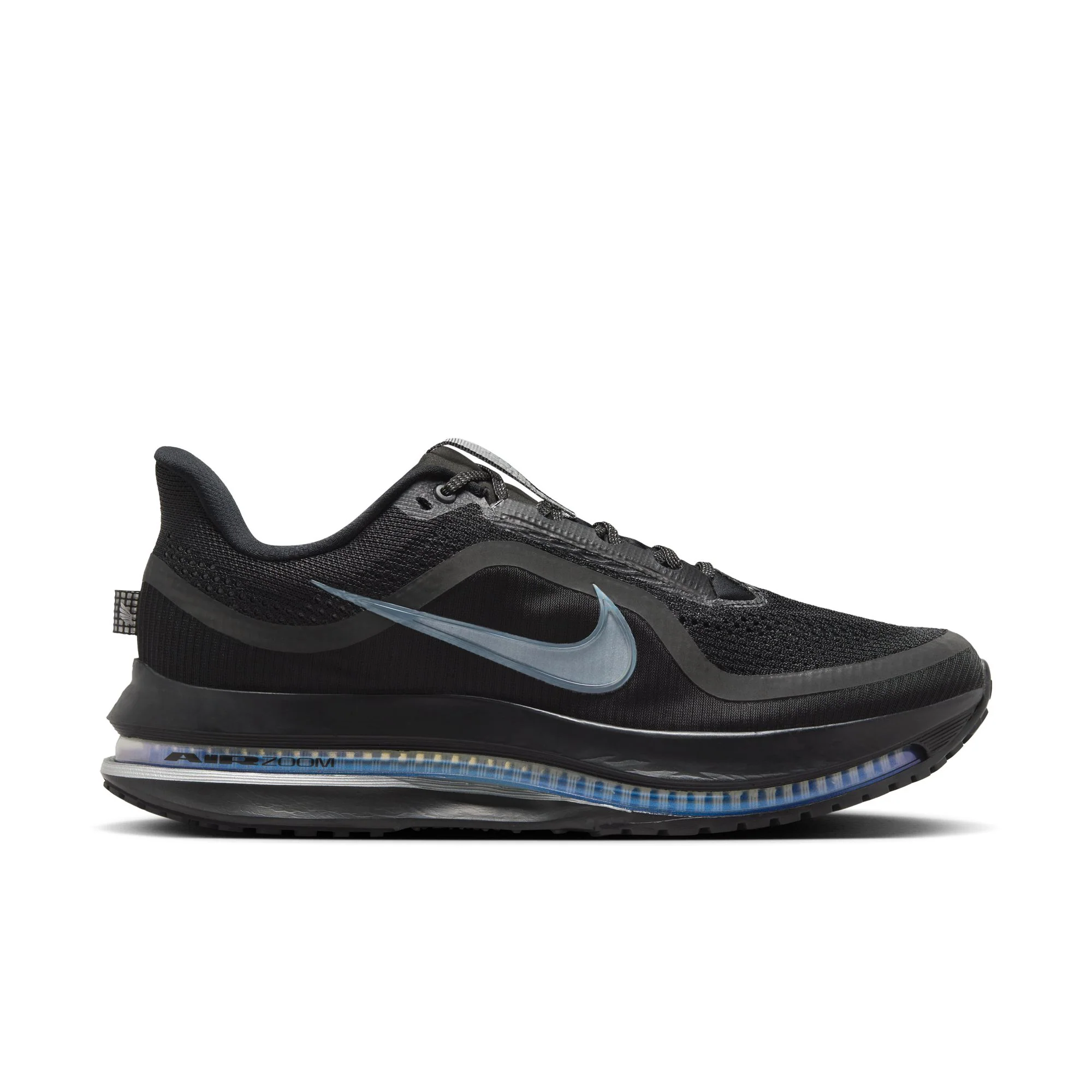 Men's Pegasus Premium (005 - Black/Black-Metallic Silver)